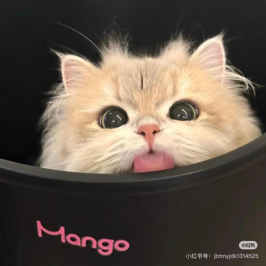 麦旋风