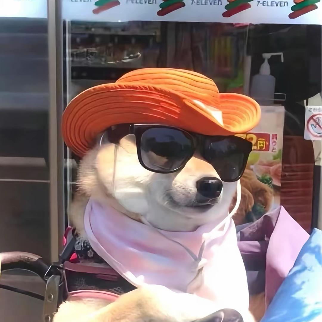 /•᷅•᷄\୭夫夫很忙˻˳˯ₑ