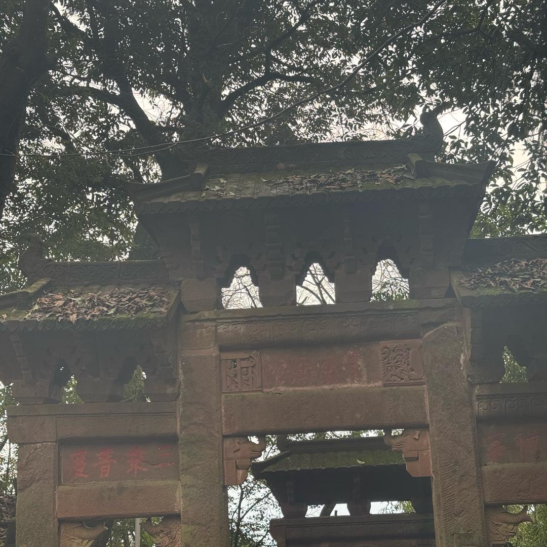 大家嗨