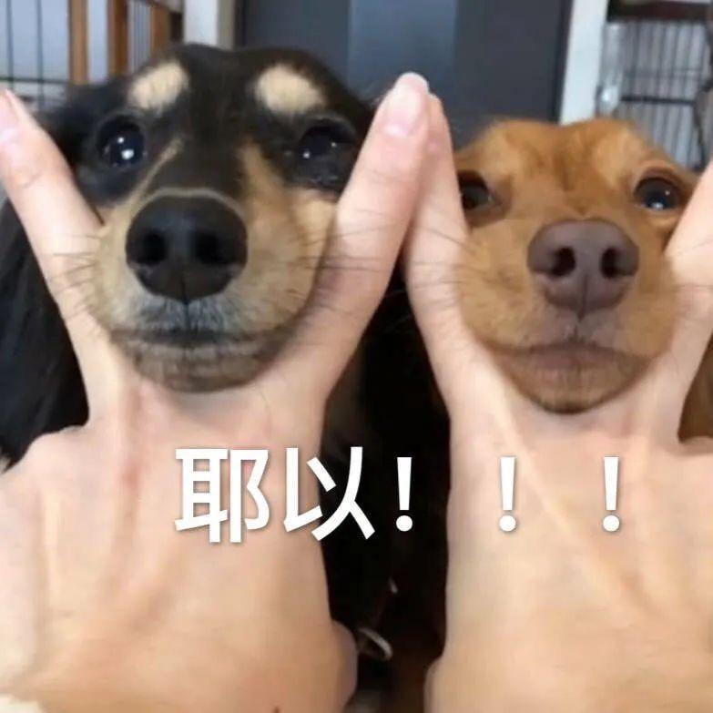 胖晓雅爱练🍑（不要连赞）