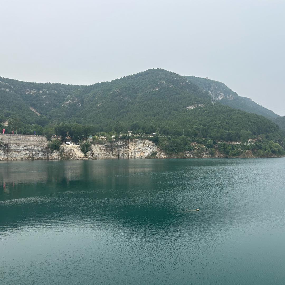 小灰灰