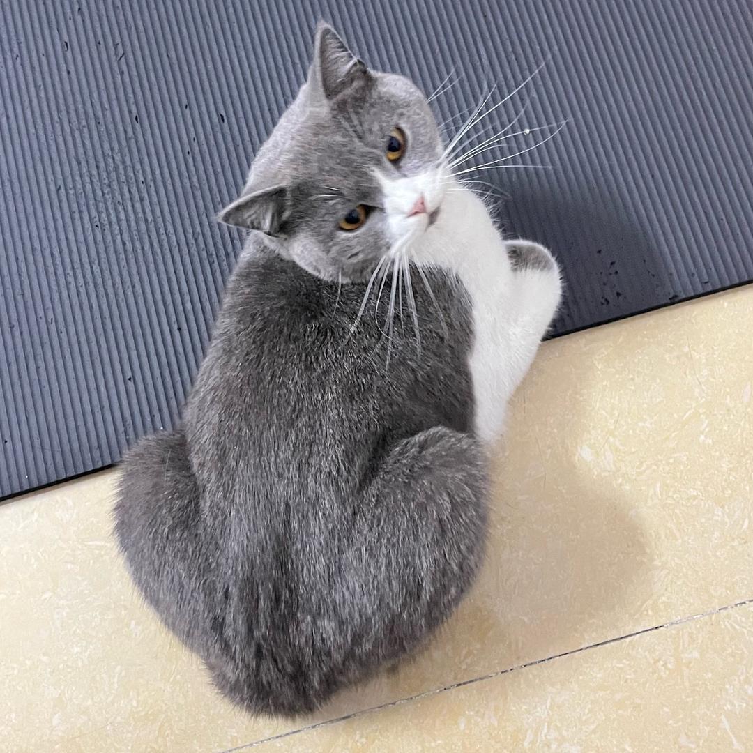 说句爱听的话！