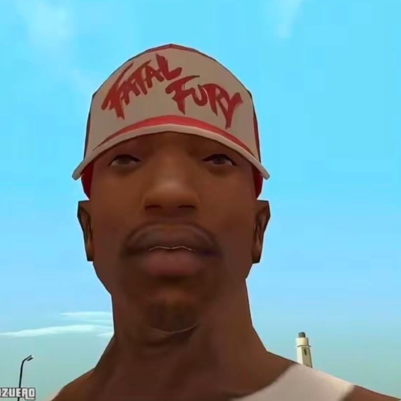 严少你家霖猫跑了