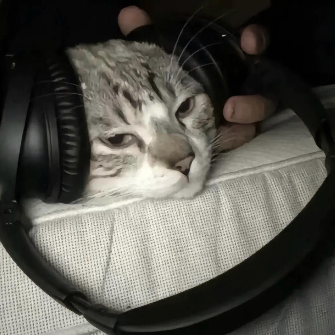 羽獠