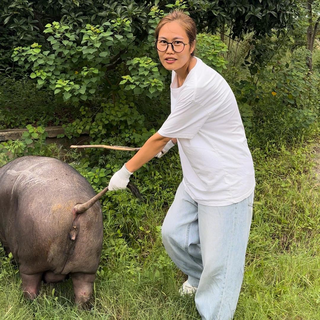 农家阿姐土黑猪