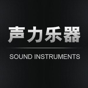 北京声力乐器有限公司