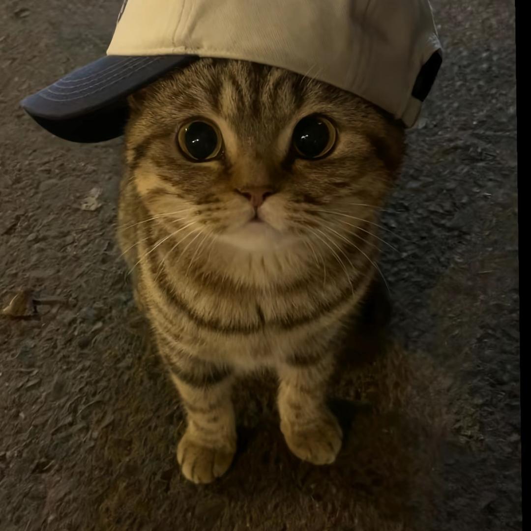 马嘉衅