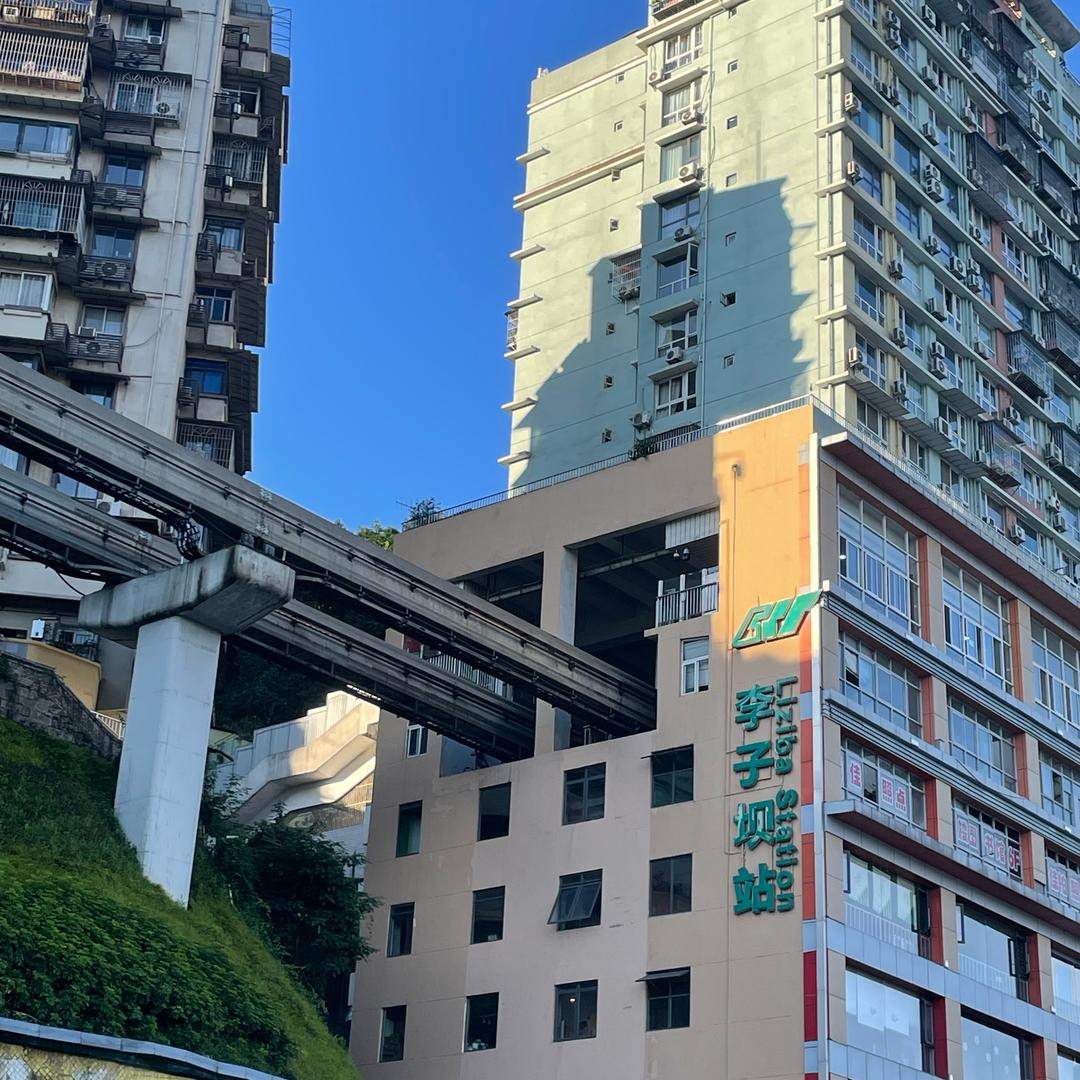 重庆导游向向（旅游）