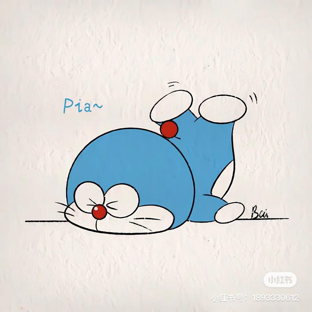 巷子里的猫🐱