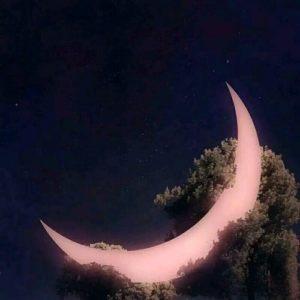 小星晶ɞ