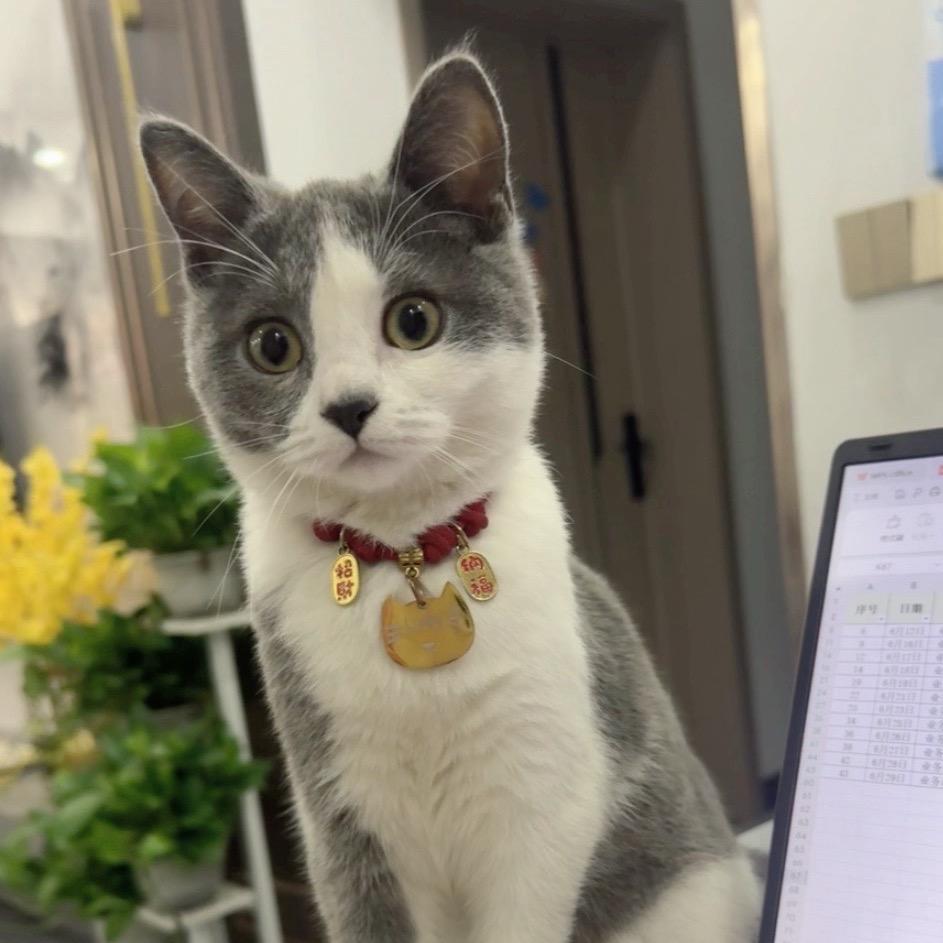 小何。