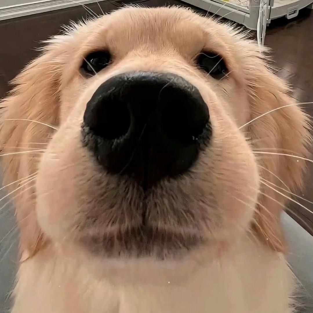 银川A.T营销总监路通