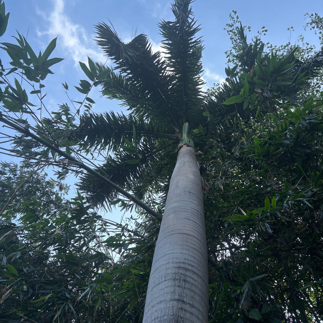 某先森、生活号