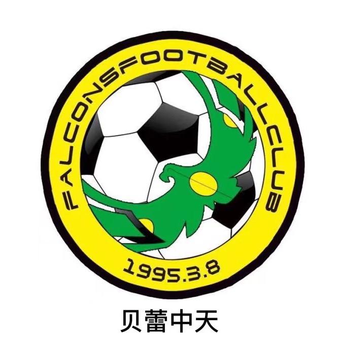 ⚽️贝蕾中天⚽️