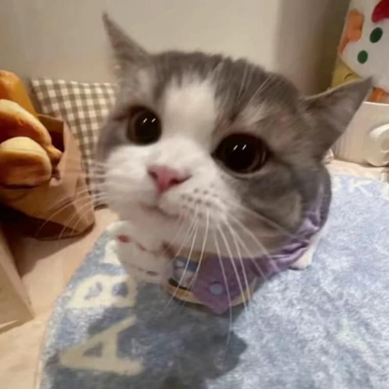 眼下的痣