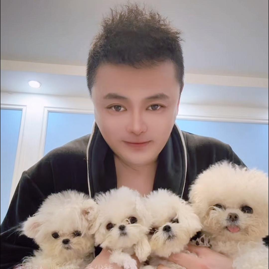 乐宠比熊（比熊哥）