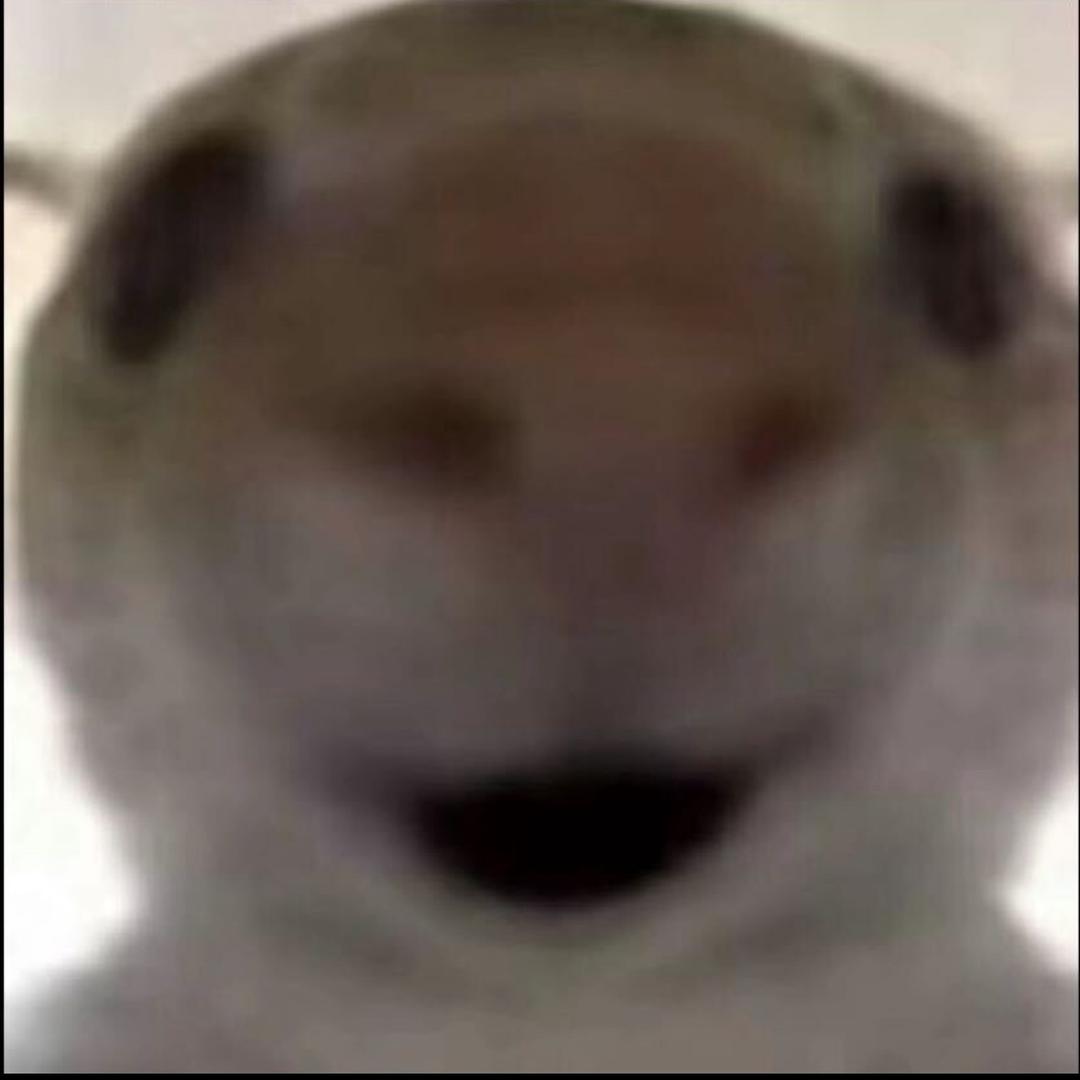 安安安安安