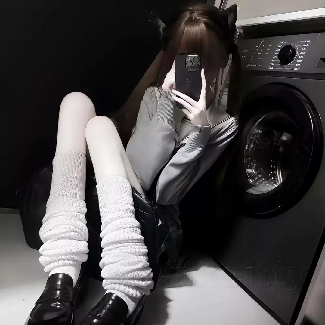 不知名小猫