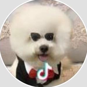 高手