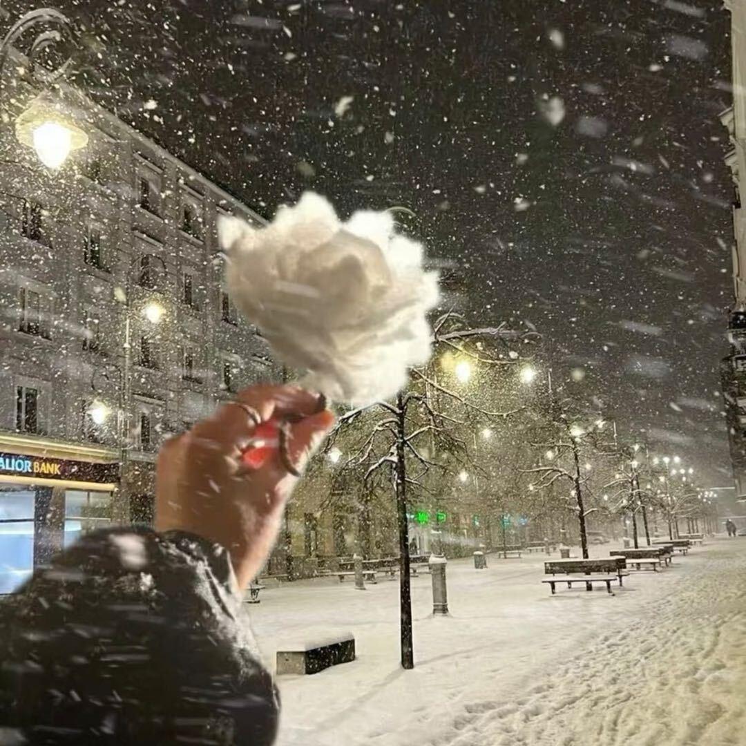 🌑🌒🌓🌔🌕🌖🌗🌘🌑