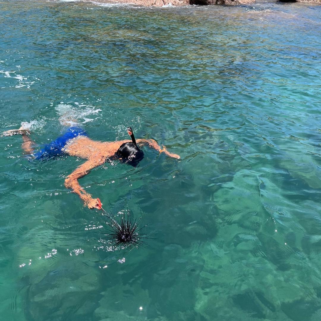 啊晓赶海日记（带客赶海）