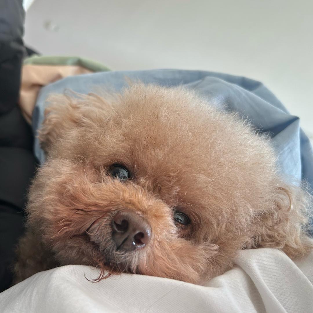是你的太阳🌞