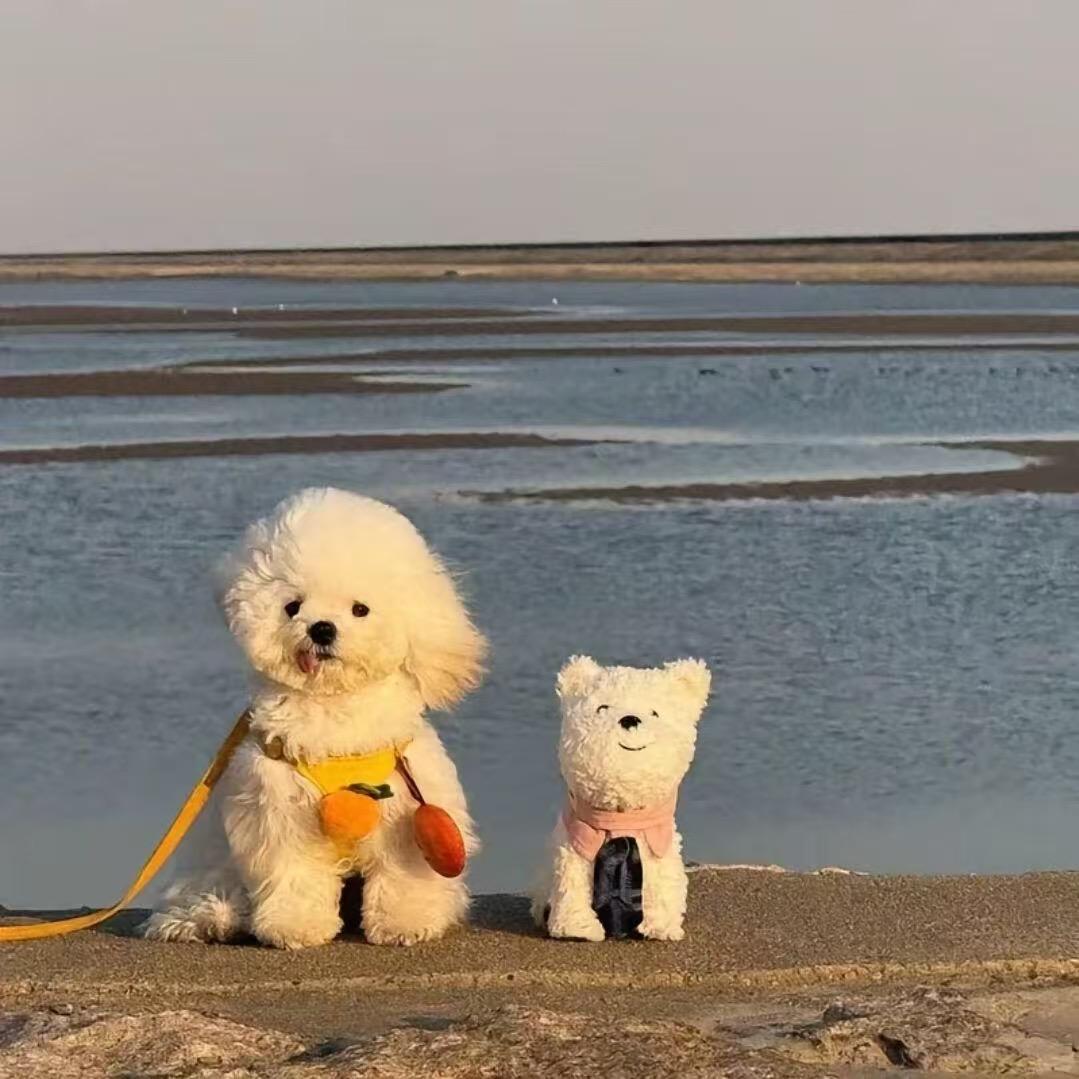 #沫忆#