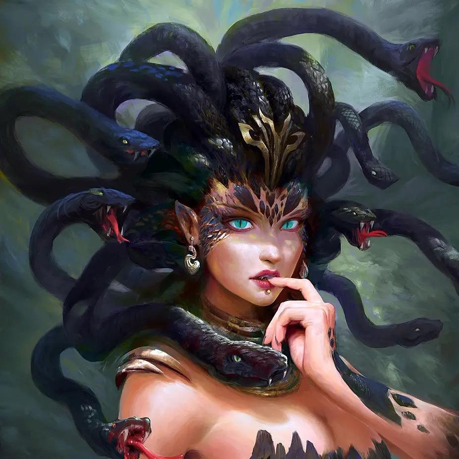 美杜莎🐍