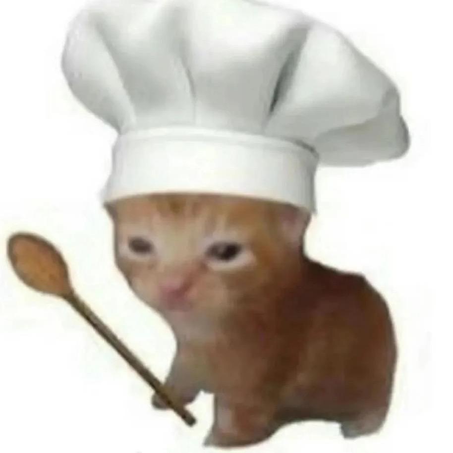 猫猫