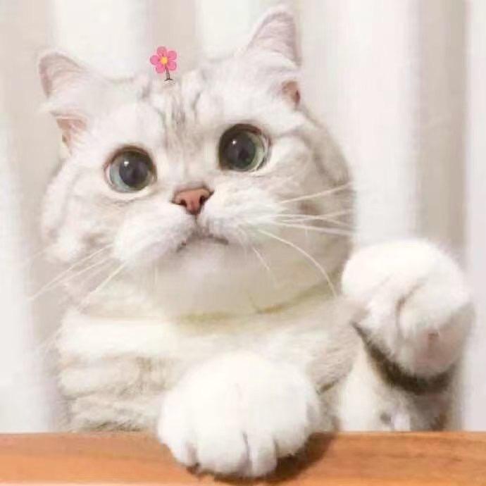 💋❥⁵²ºও゛小英୧⍤⃝🎀1314