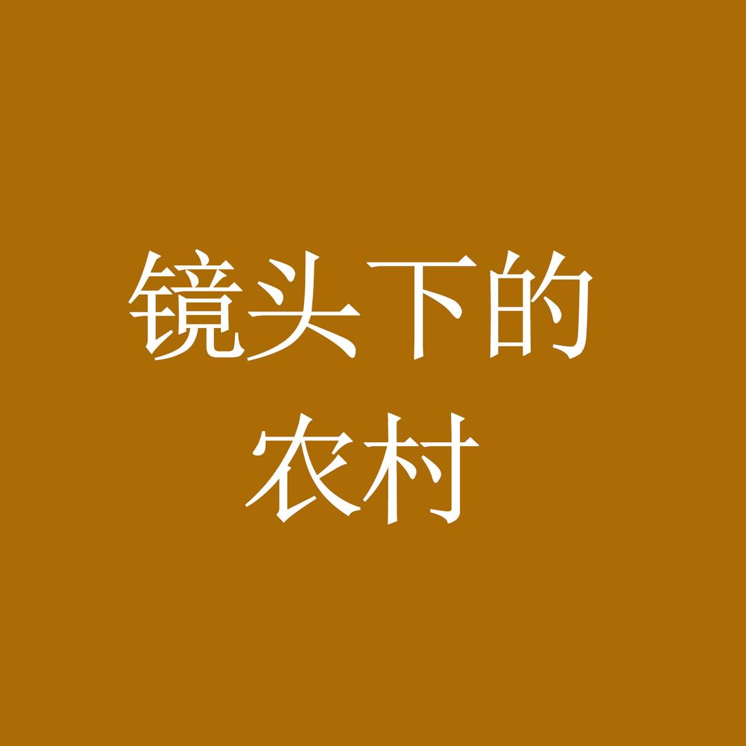 镜头下的农村（助农）