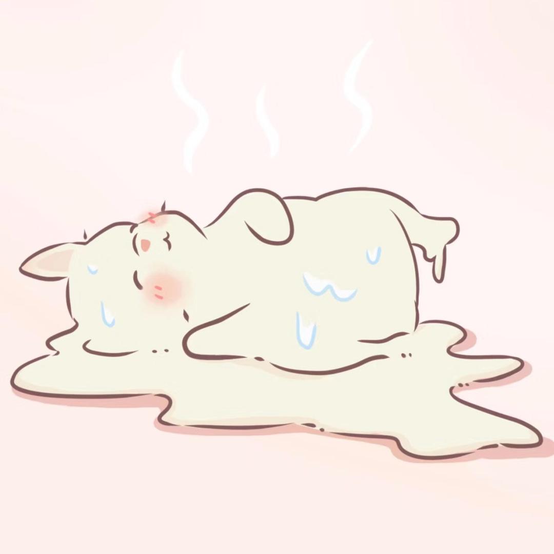 小喵