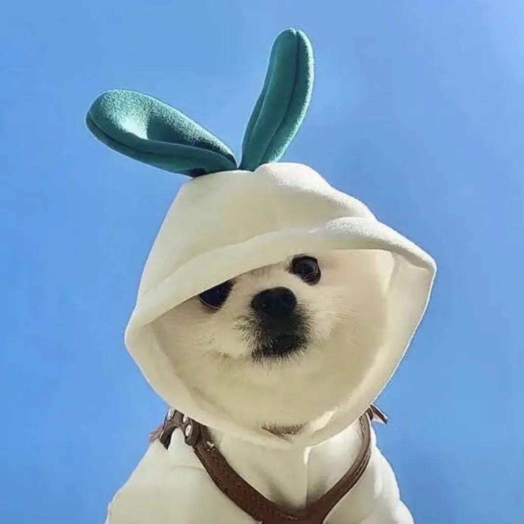 🌈 乐、