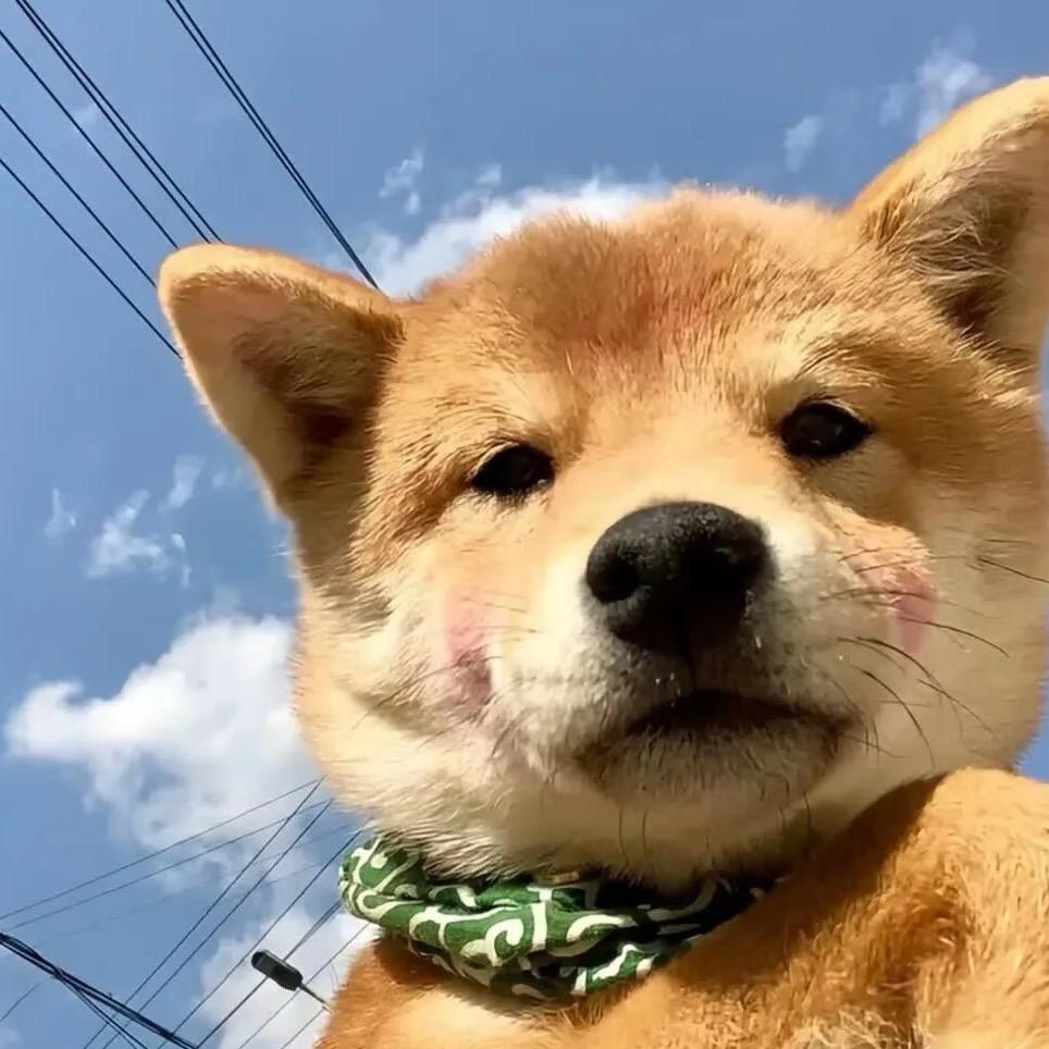 瑞兽潮玩拆卡