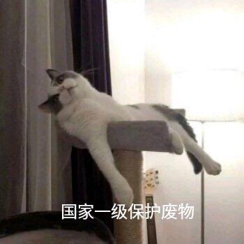 无情杀手