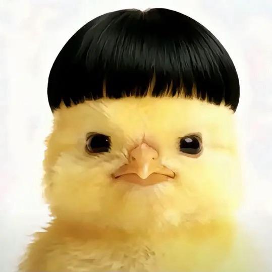 刷到为什么不评论