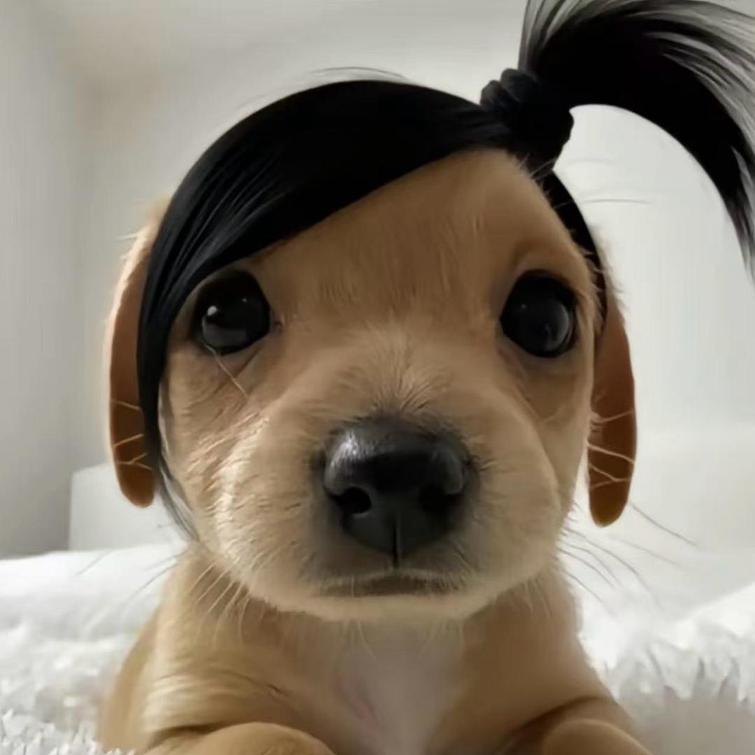 王蔚蓝