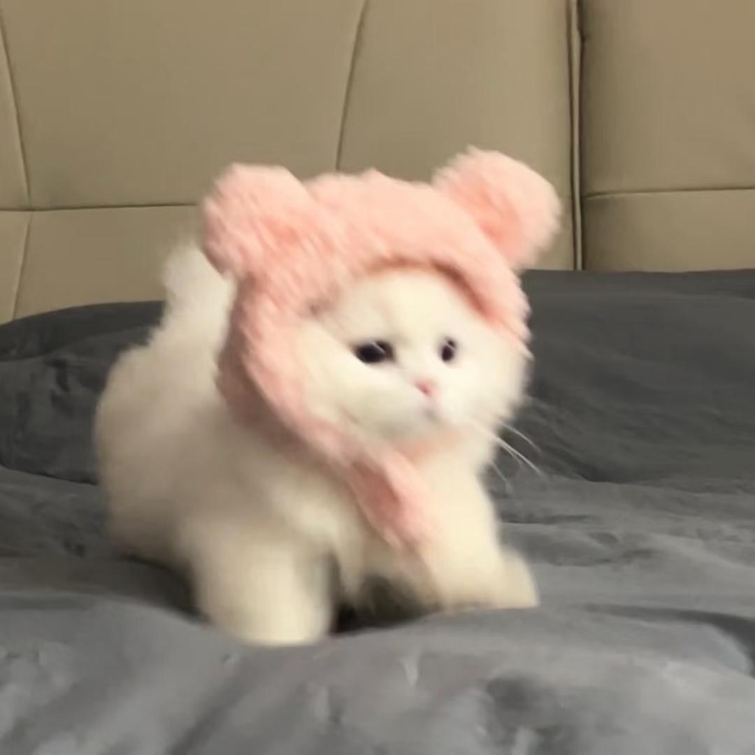 人间小事儿~