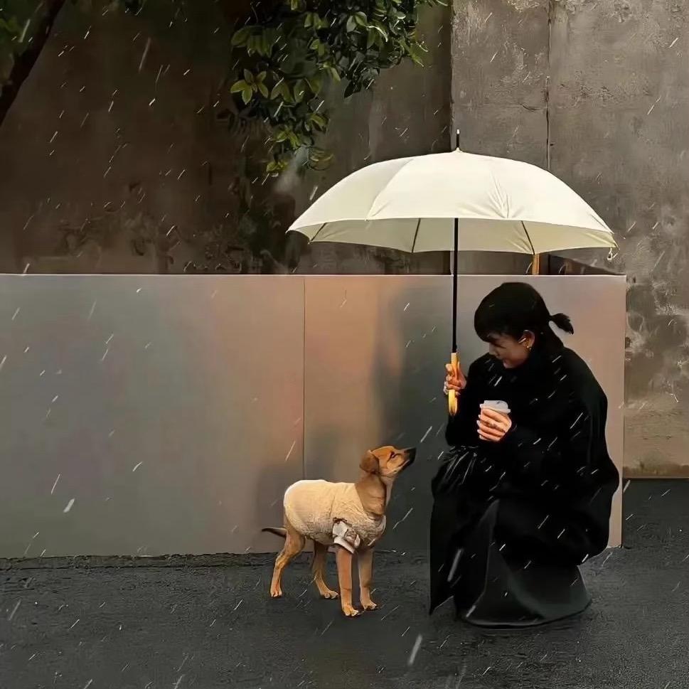 小烤鱼