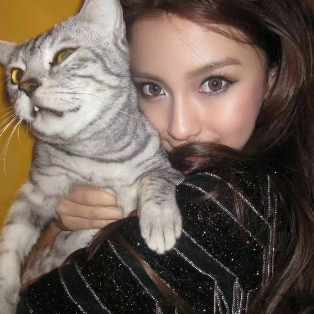 阿Q鹅鹅