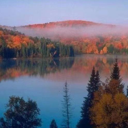 峡谷虾玩（王者创业）