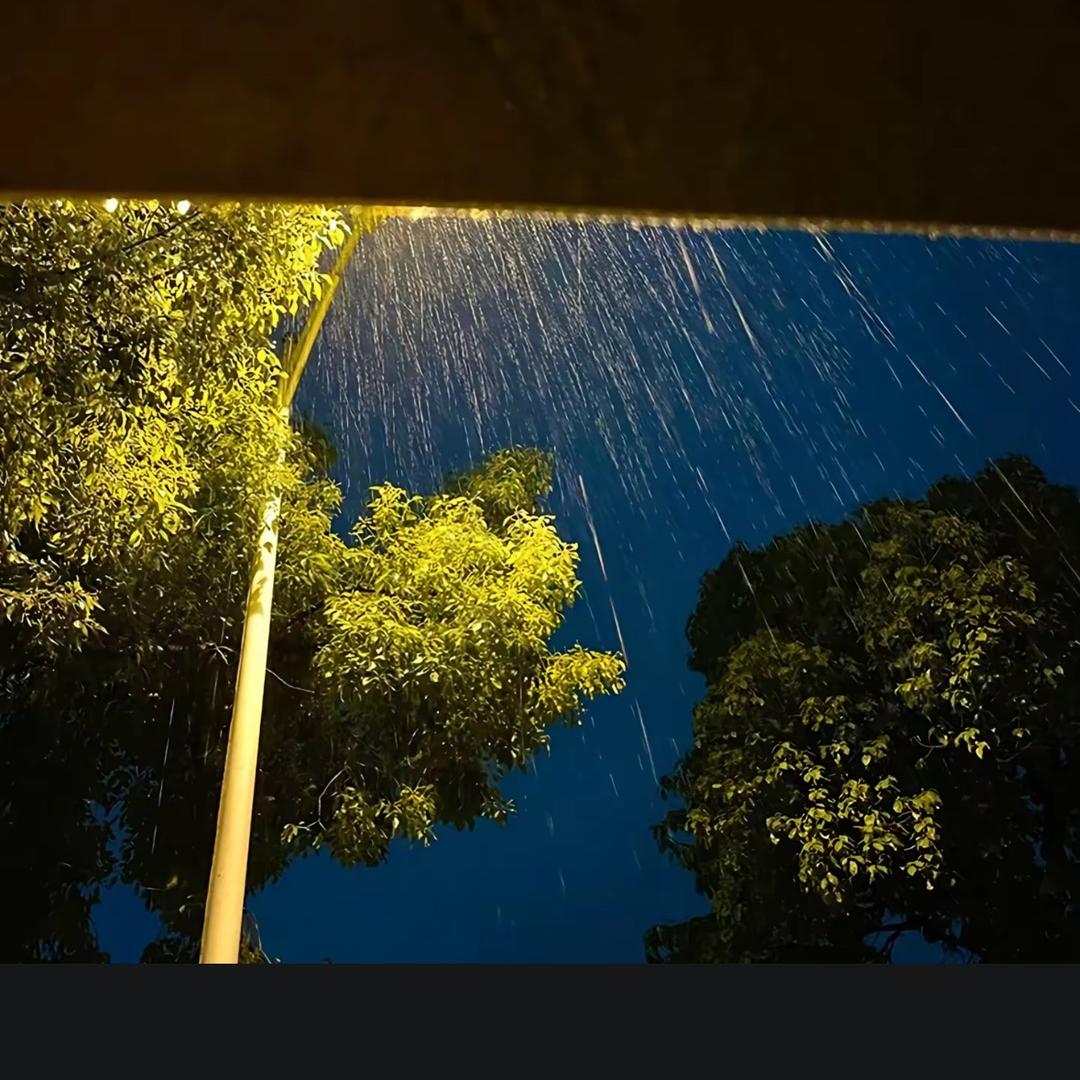 西兰花栓Q ᝰ᭄ོ