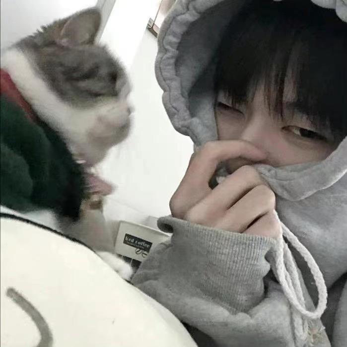猫辰i