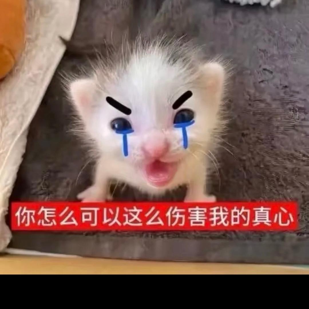 粉丝包