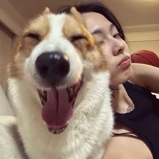 重生之我在抖音直播卖狗