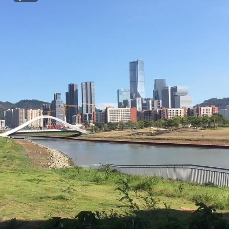 深圳真心