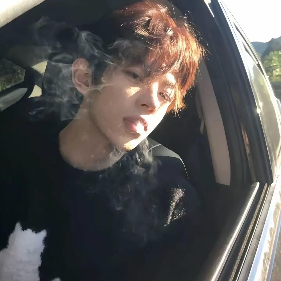 陈巢