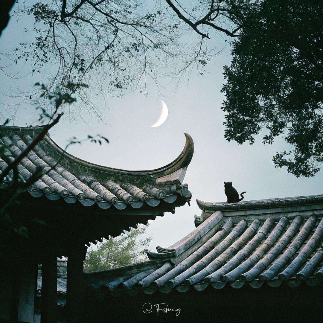 周一见