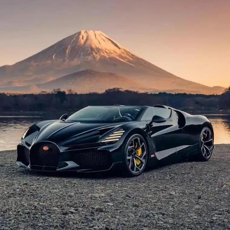 迪可波罗(金岸春天店)昆明晁芬姬服务号