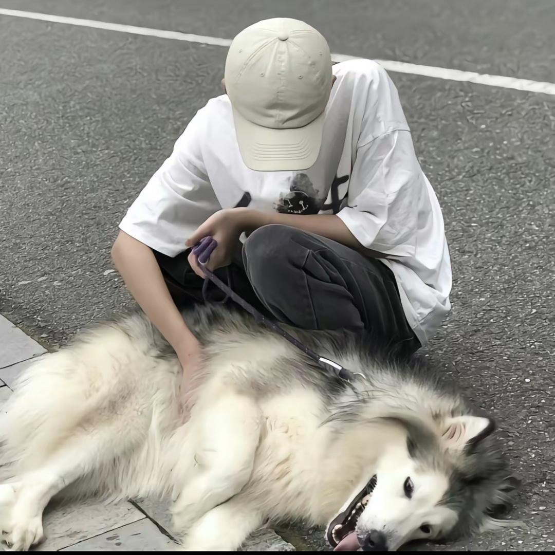 是小杜呀